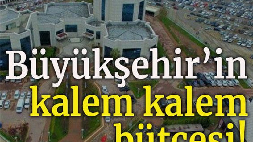 Büyükşehir'in kalem kalem bütçesi!